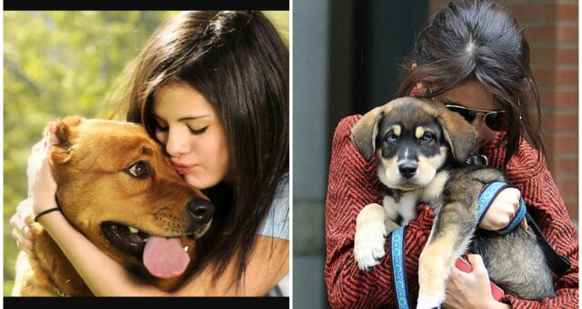 Selena Gomez und ihre Haustiere. Quelle: Screenshot Youtube