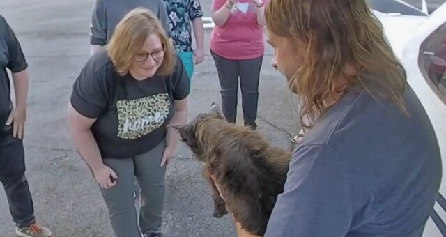 Familie Howard wurde mit ihrem vermissten Hund wiedervereint. Quelle: Screenshot Youtube