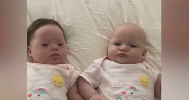 Zwillinge Harper und Quinn. Quelle: Screenshot Youtube