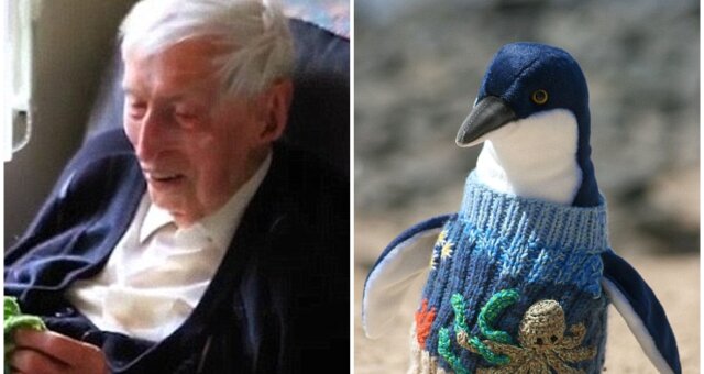 Mann strickt Pullover für Pinguine. Quelle: Screenshot Youtube