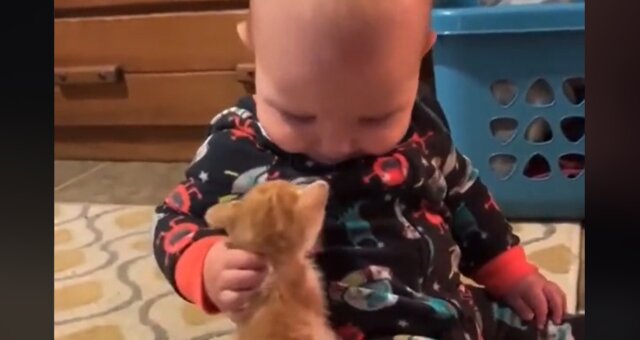 Baby und Kätzchen. Quelle: Screenshot Youtube