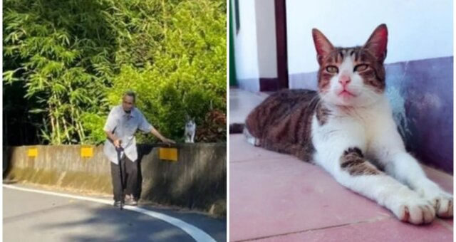 Opa Datuk und seine Katze Xiao Ke. Quelle: Screenshot Youtube