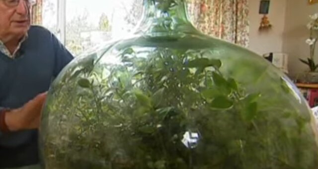 David Latimer und sein Garten in der Flasche. Quelle: Screenshot Youtube