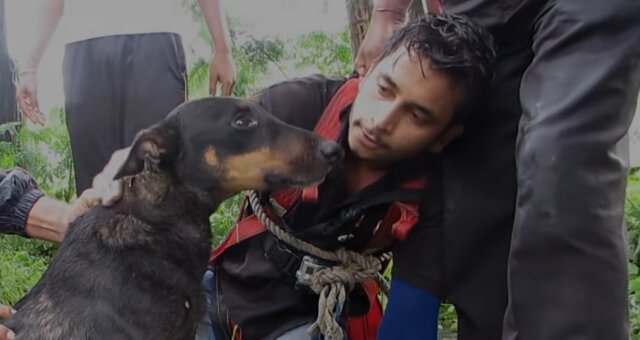 Hund wurde aus dem Brunnen gerettet. Quelle: Screenshot Youtube