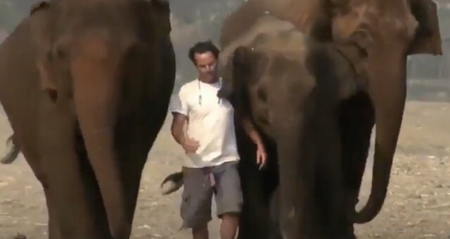 Freundschaft zwischen Mann und Elefanten. Quelle: Screenshot YouTube