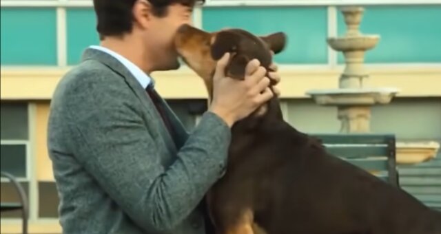 Hund und sein Besitzer. Quelle: Screenshot Youtube