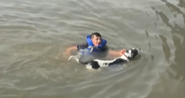 Mann rettet eine Hündin. Quelle: Screenshot Youtube