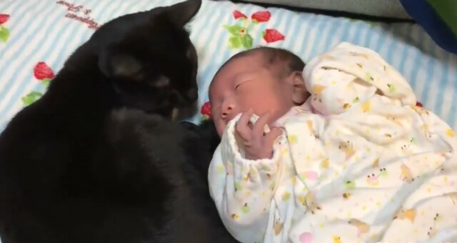 Baby mit de Katze. Quelle: Youtube Screenshot