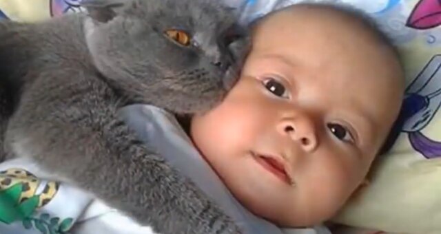 Baby und Kätzchen. Quelle: Screenshot Youtube